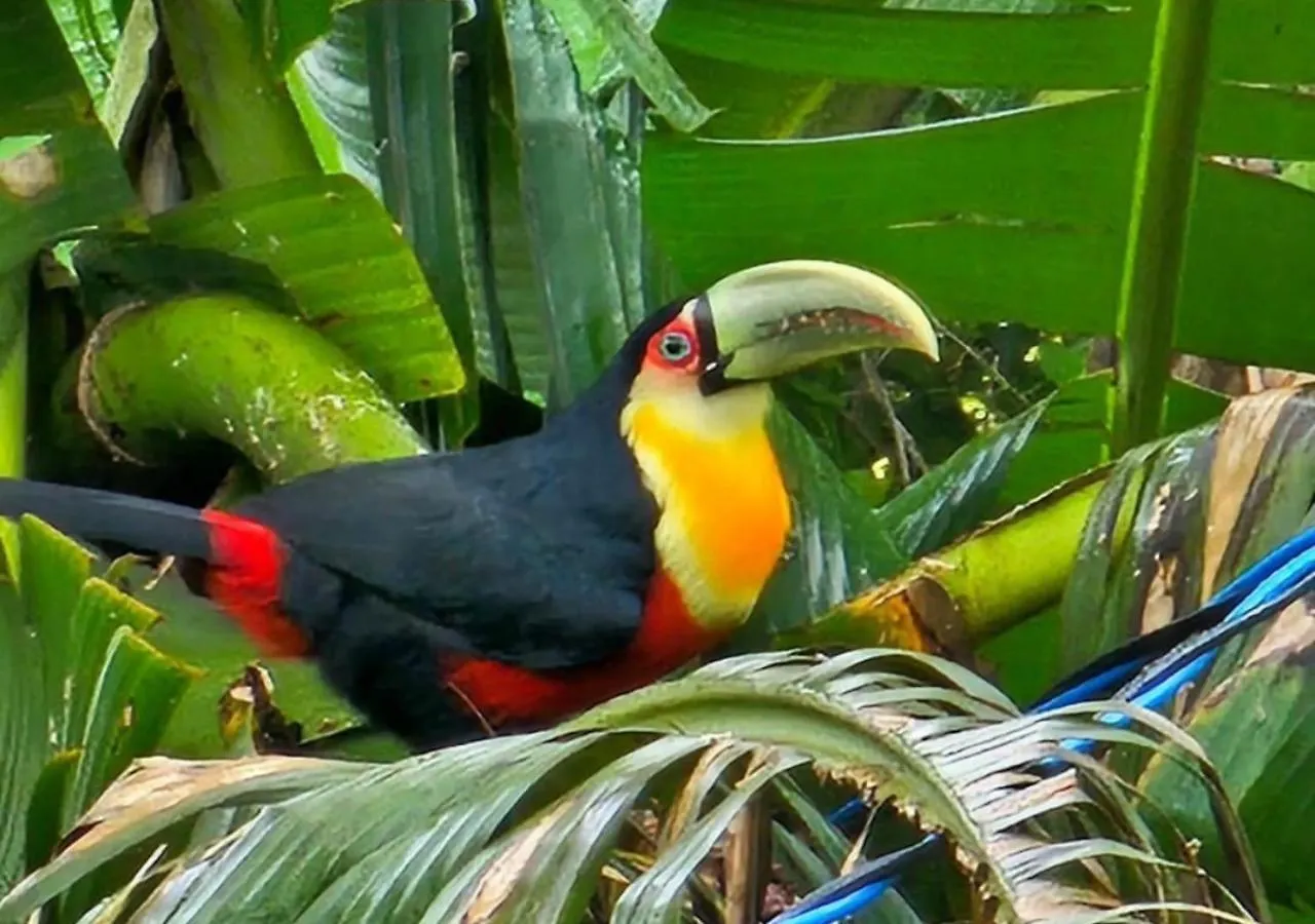 Cabana Com Cachoeira Privativa Imarui 0*,