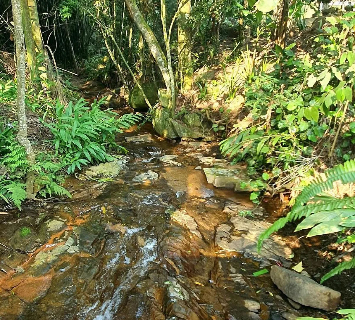 Cabana Com Cachoeira Privativa Imarui Brasilien